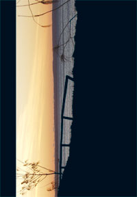 Wholesale Birthday and Greeting Card